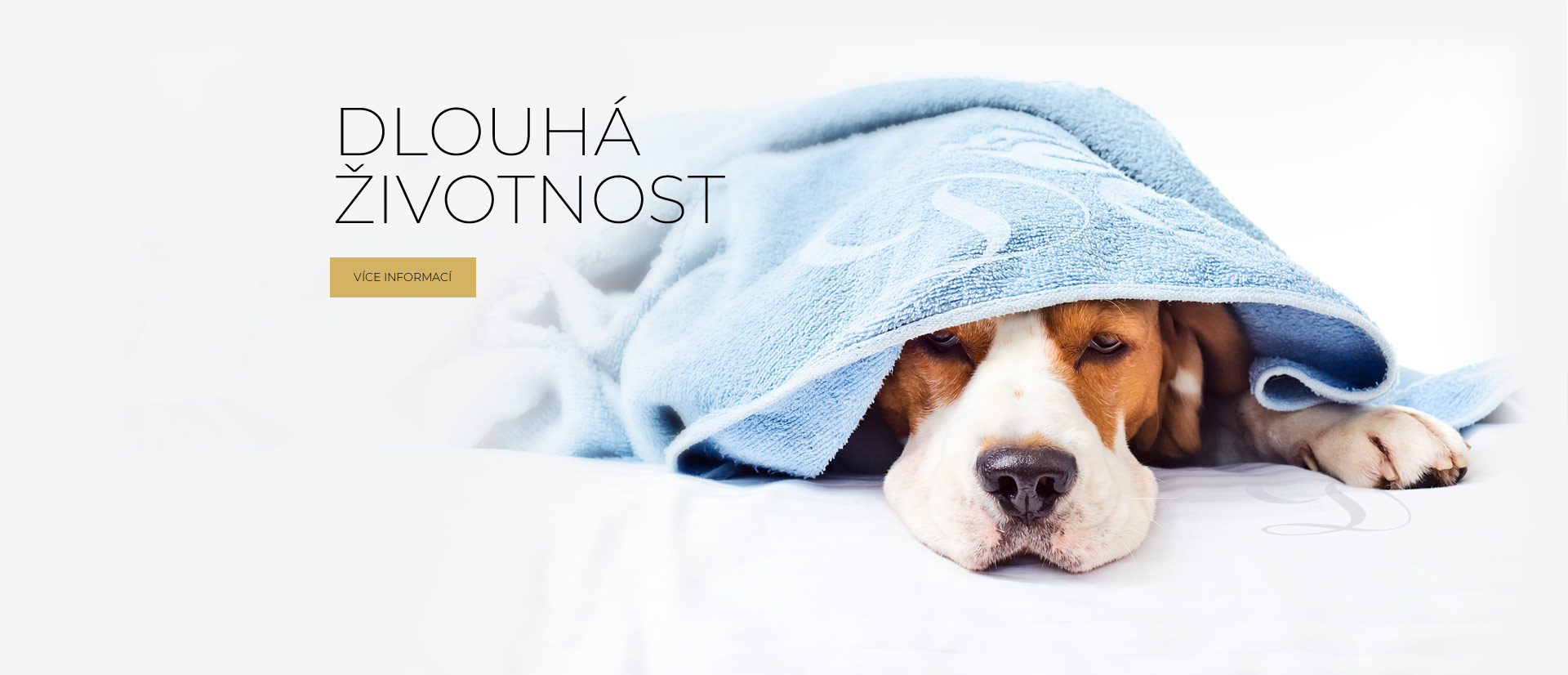 DLOUHÁ ŽIVOTNOST